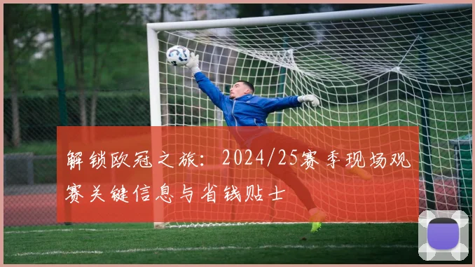 解锁欧冠之旅：2024/25赛季现场观赛关键信息与省钱贴士
