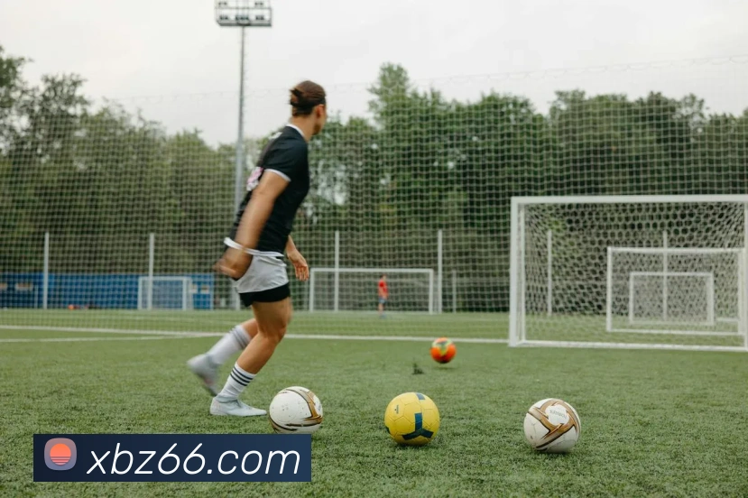 App Interface Preview