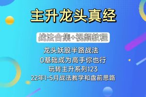 主升龙头真经战法合集+视频（龙头妖股半路上车/玩转主升浪/首板识别龙头的量能体系）-股民知识园